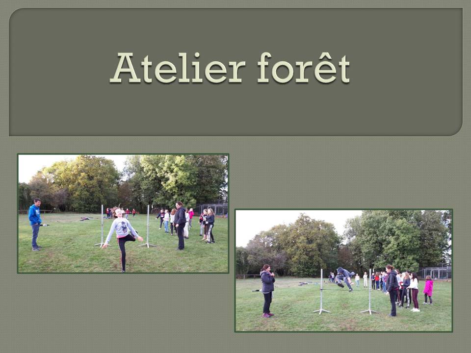 http://col21-pompon-saulieu.ac-dijon.fr/wp-content/uploads/2019/10/Atelier-forêt.jpg